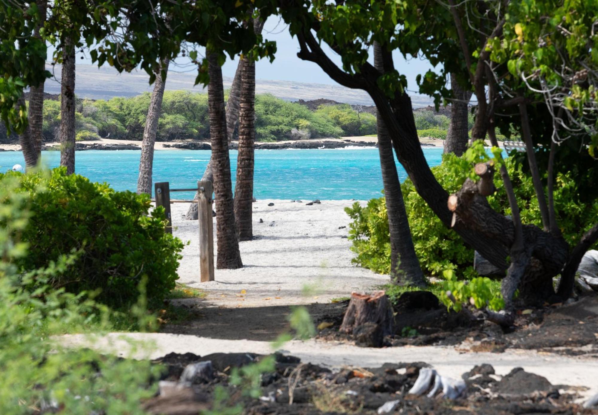 Hilton Pool Pass Included, Kolea - Luxe Penthouse Casa vacanze *